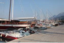 Photo References of Ships 